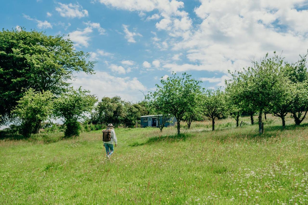 Blatchford Briar - Award Winning Private Shephards Huts With Their Own Secluded Hot Tubs Milton Abbot Exterior foto